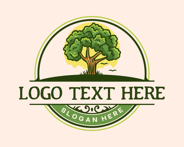 Sustainable Oak Forestry